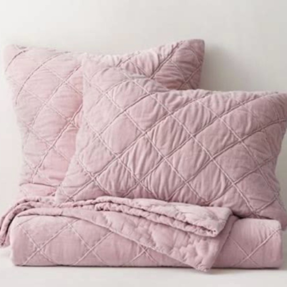 RH Teen HAND-STITCHED VELVET Dusty Rose Quilt